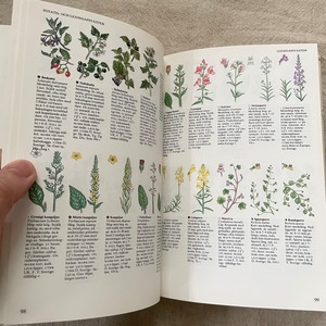 スウェーデンの植物図鑑1