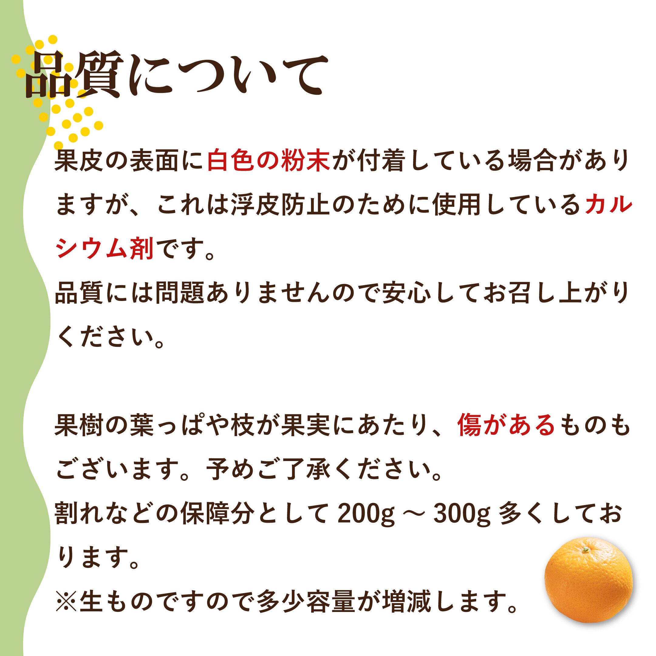 都内で 2和歌山県 有田産 清見オレンジ １キロ以上小玉