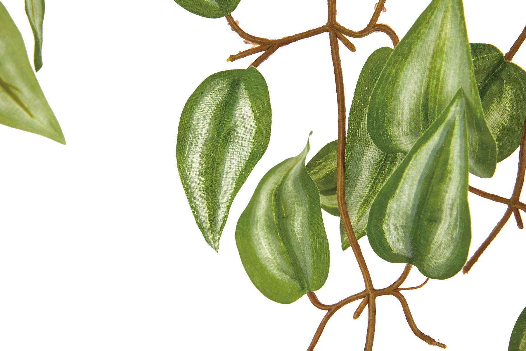 コリウスリーフハンガー　　GL-5294GR　4961823787485　造花（アーティフィシャルフラワー） > 定番造花グリーン（素材）