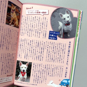 ZASSHU vol.5