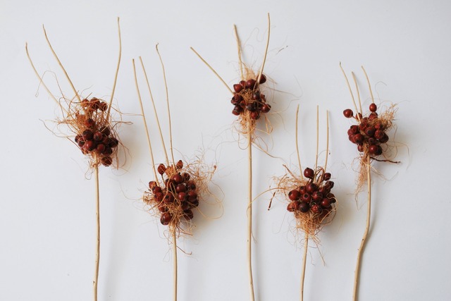 THE MAME ｜sticks branch ｜dry