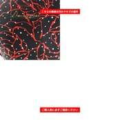 社交ダンス 衣装 JUN FASHION ドレス ワンピース ブラック系 花 花柄 ホログラム キラキラ レース 透け感 上品 練習 レッスン 黒 赤 伸縮 ストレッチ ダンス衣装 イベント ステージ パーティー レディース 柄 模様 レッド系