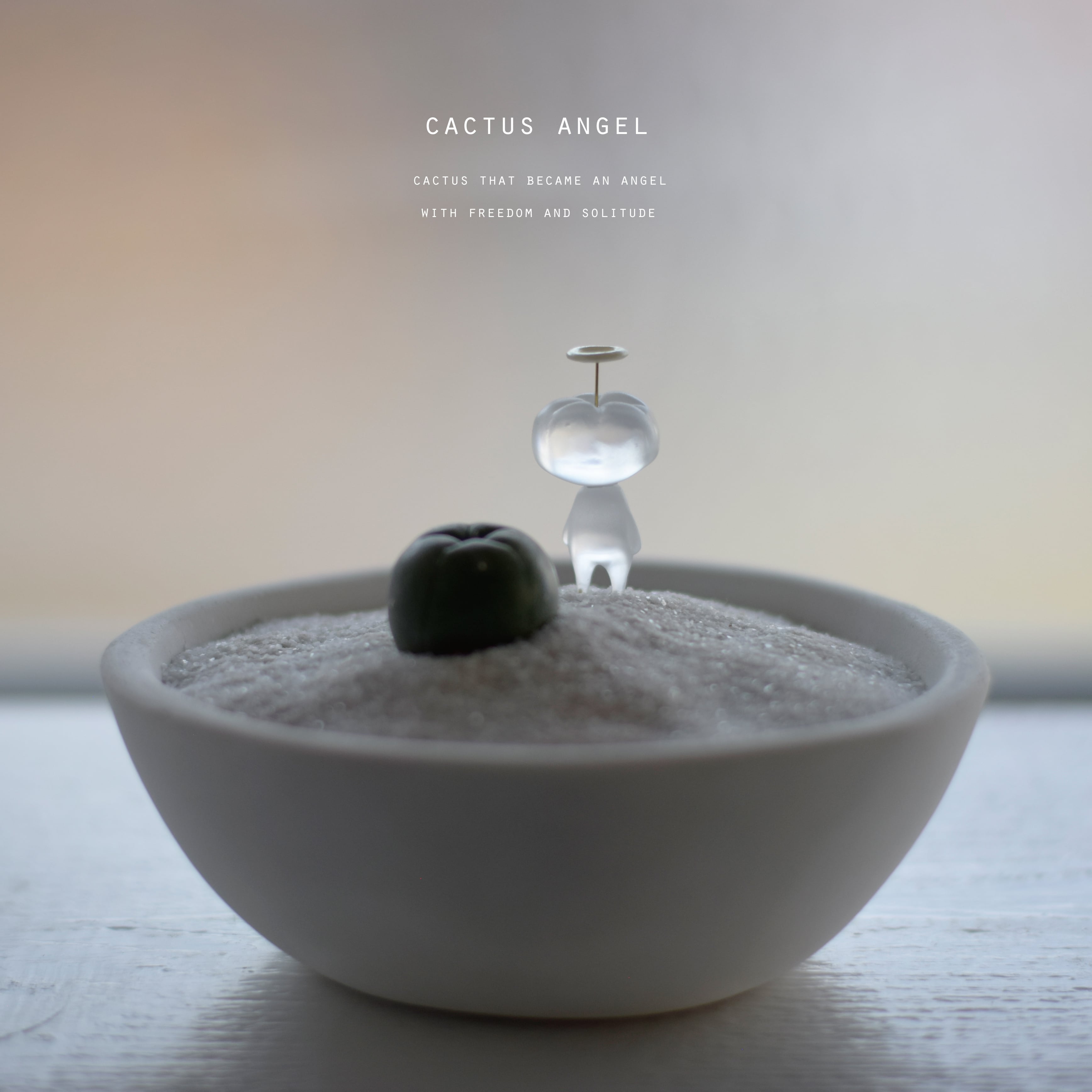 サボテンとサボ天使（baby) | echidna