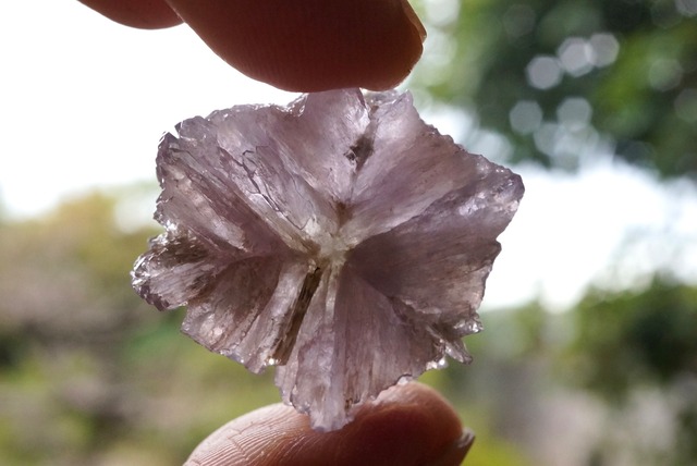 スターアラゴナイト Star Aragonite 4