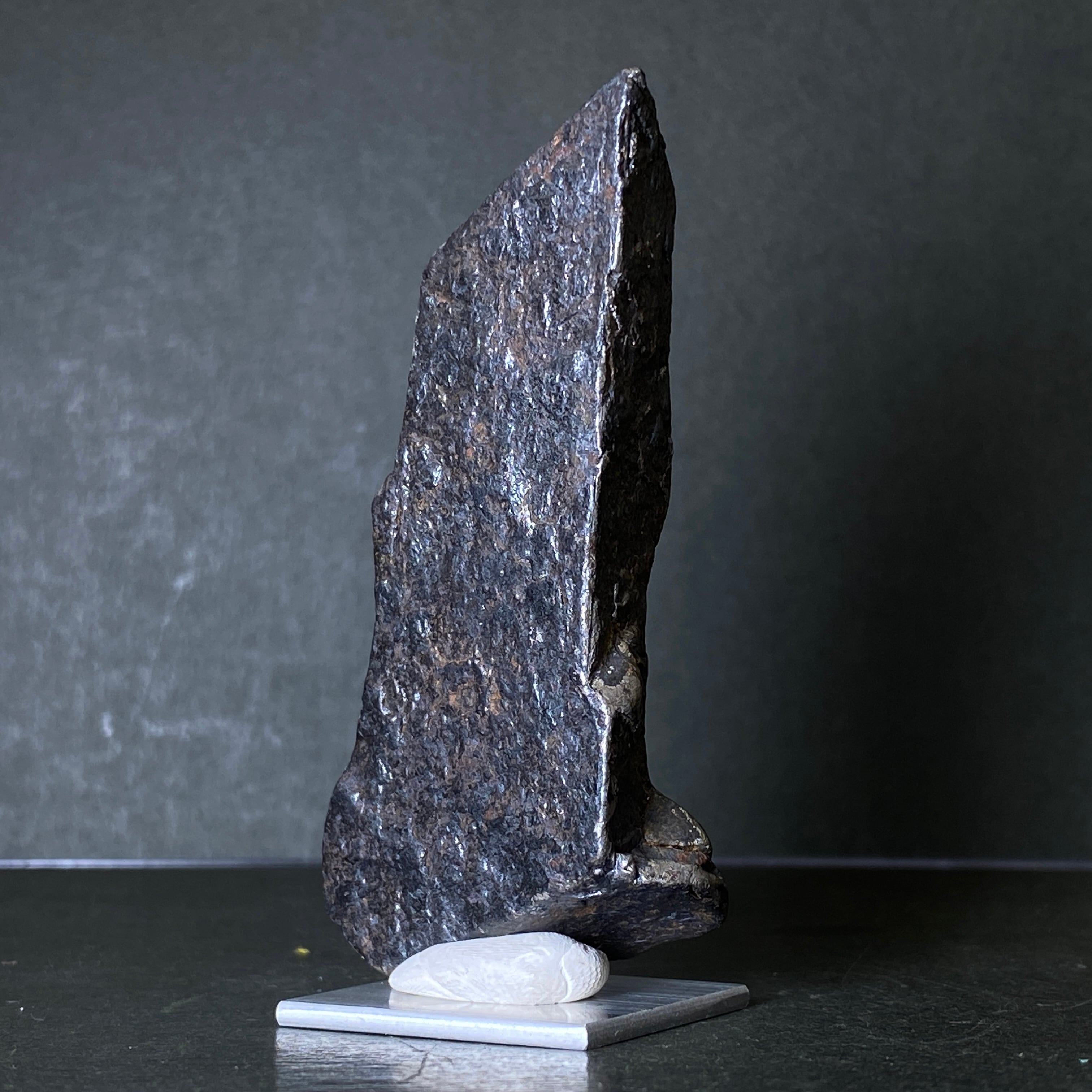 大型】ギベオン隕石 Gibeon Meteorite 25103110 | 【隕石屋】METEOS