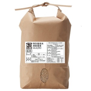 【R3年産】石川県奥能登産 特別栽培米コシヒカリ 玄米2kg【送料無料】