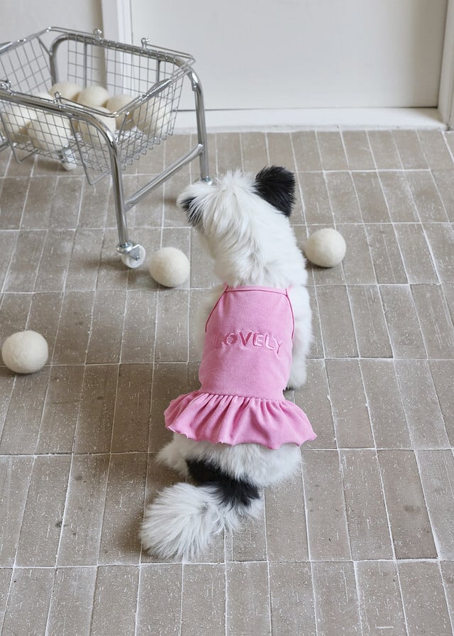 MARO