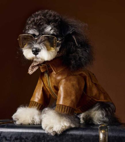 〖予約〗1103199 秋冬レザージャケット