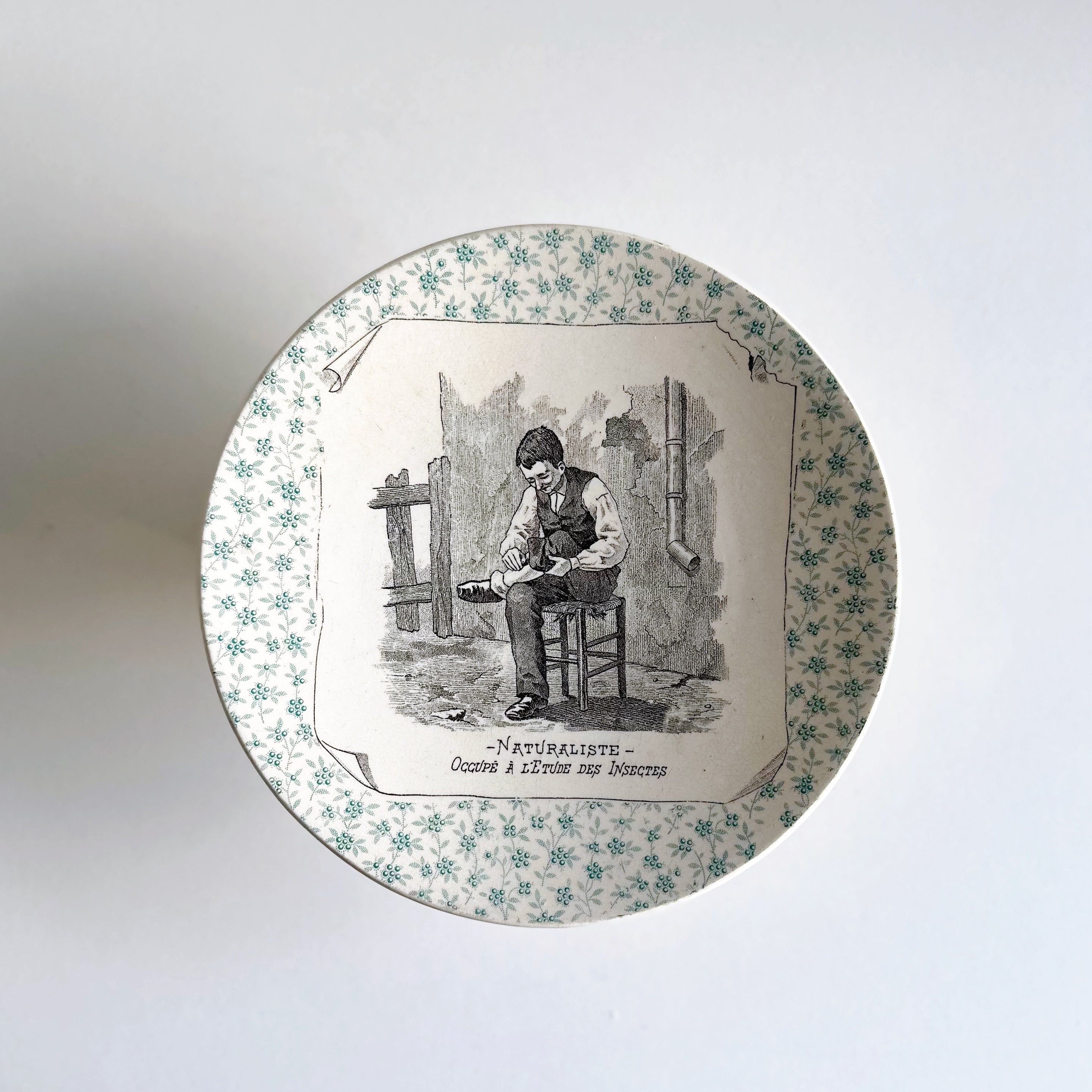 Sarreguemines サルグミンヌ | ぽわにえ・だむーる 〜 アンティーク