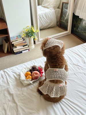 予約【pecoramou select】コテージネットニットウェアワンピース