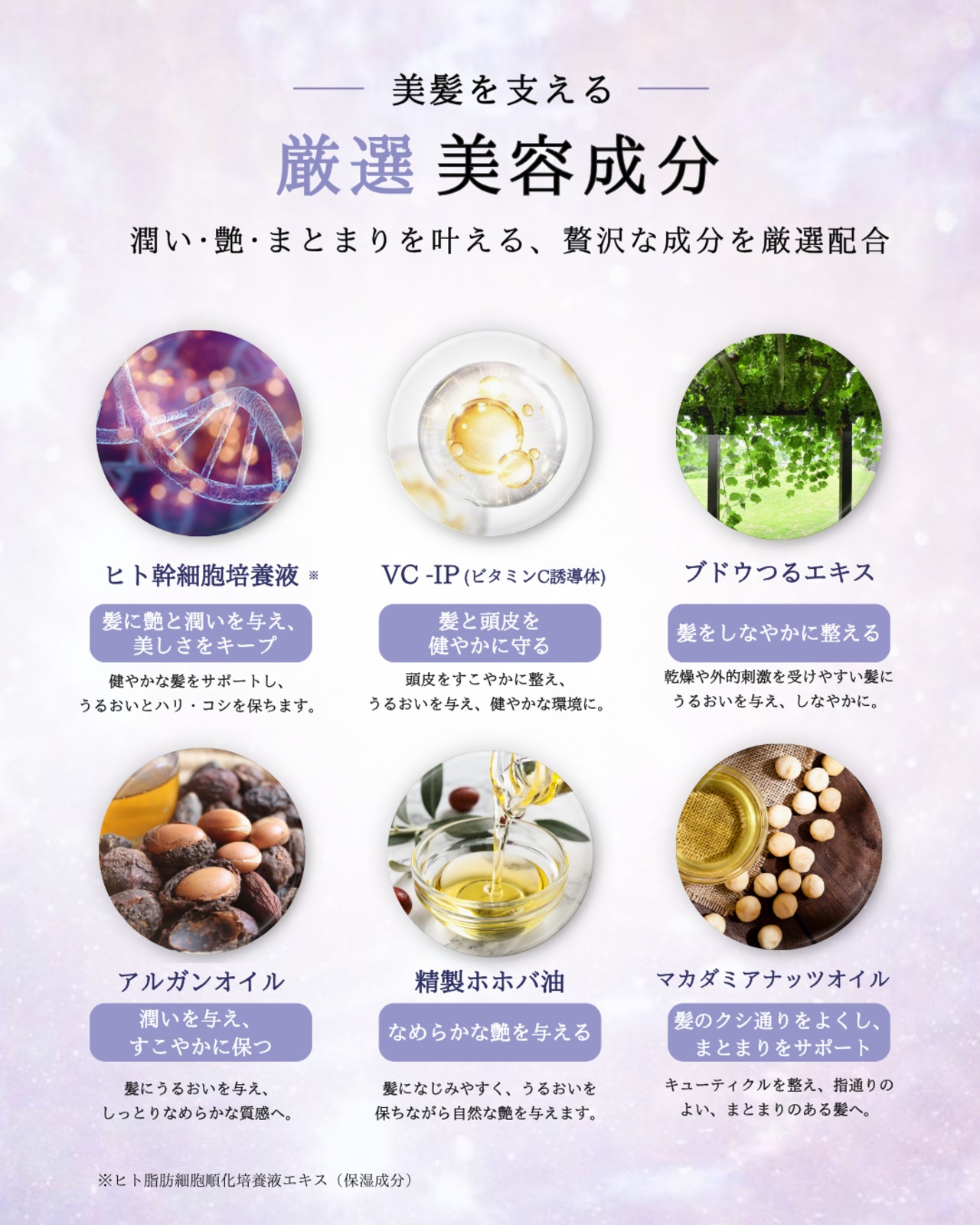 【お盆明け配送】朝も夜も艶を絶やさない 艶髪デイリーセット