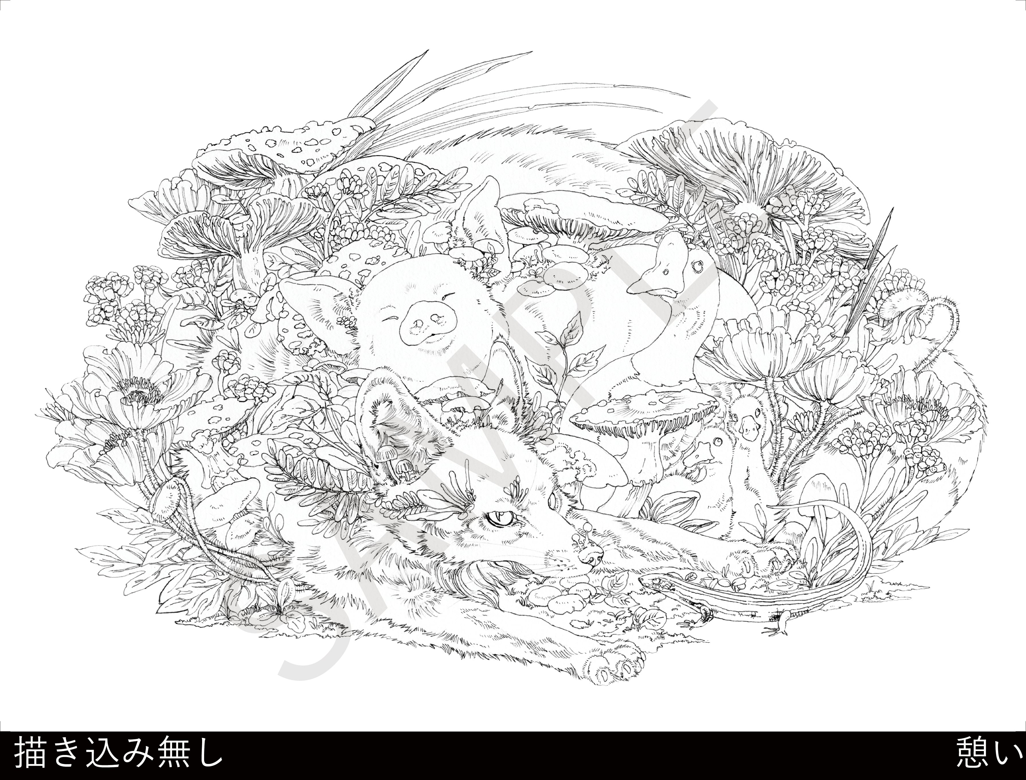 グッズ】塗絵セット | KEN MATSUDA STORE