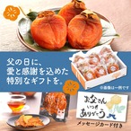 【父の日】柿農家「柿壺」最上級西条柿の干し柿 （特選大玉 8個入）【ご注文確認後5営業日以内に発送】