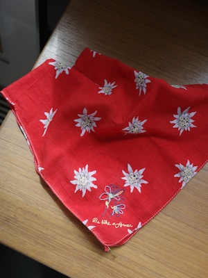 <vintage>red flower bandana