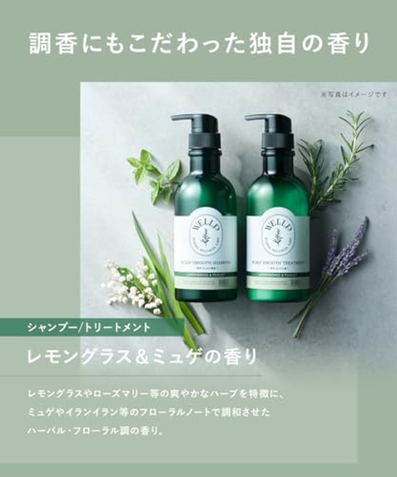 WELLP ウェルプ | シャンプー トリートメント セット 詰め替え 【スムース】 フケ スカルプケア 医薬部外品