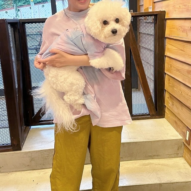 【Sovje oneline】All Japan Made  ムラ染めラグランプルオーバー小さいサイズ