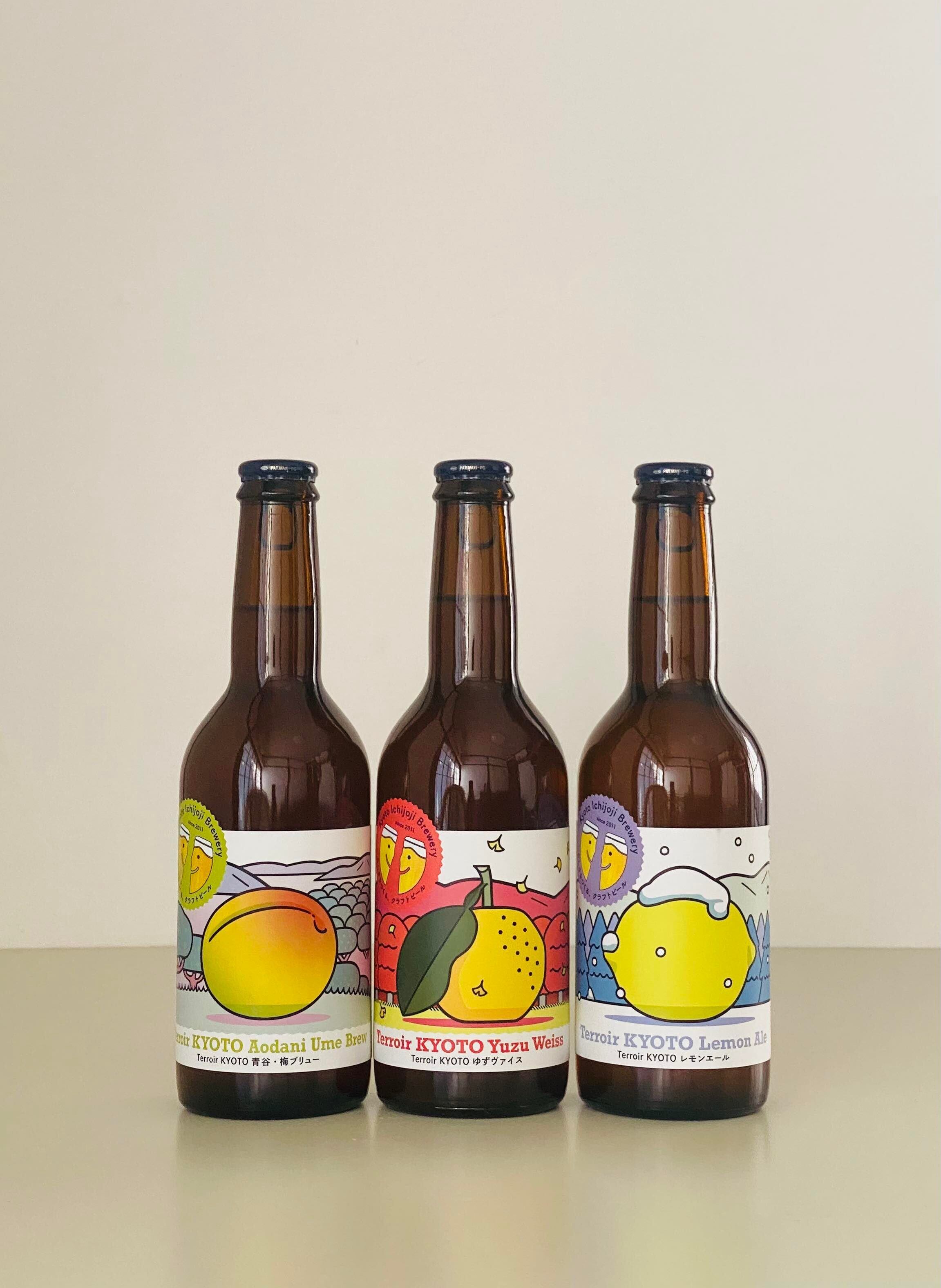 市川元晴　想い出のトウシューズ 市川元晴 想い出のトウシューズ 市川元晴 想い出のトウシューズ