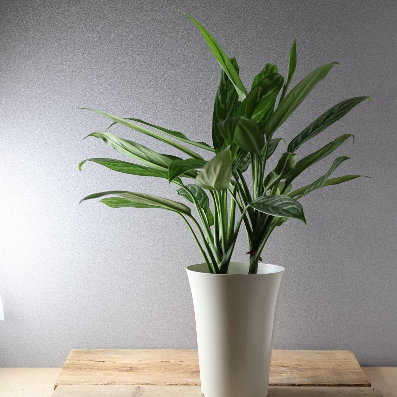 01202e65ac66f3fbc984c0ac2f4fea