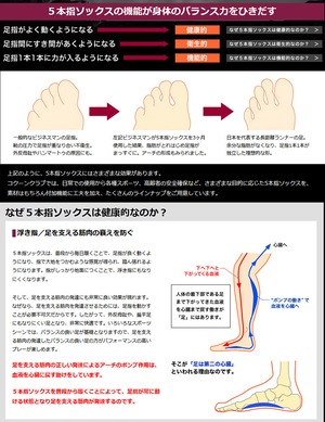 HOSHINO（ホシノ）COCOON CLUB 5本指ソックス CO-33 ウール混(ホット)・オブリーク