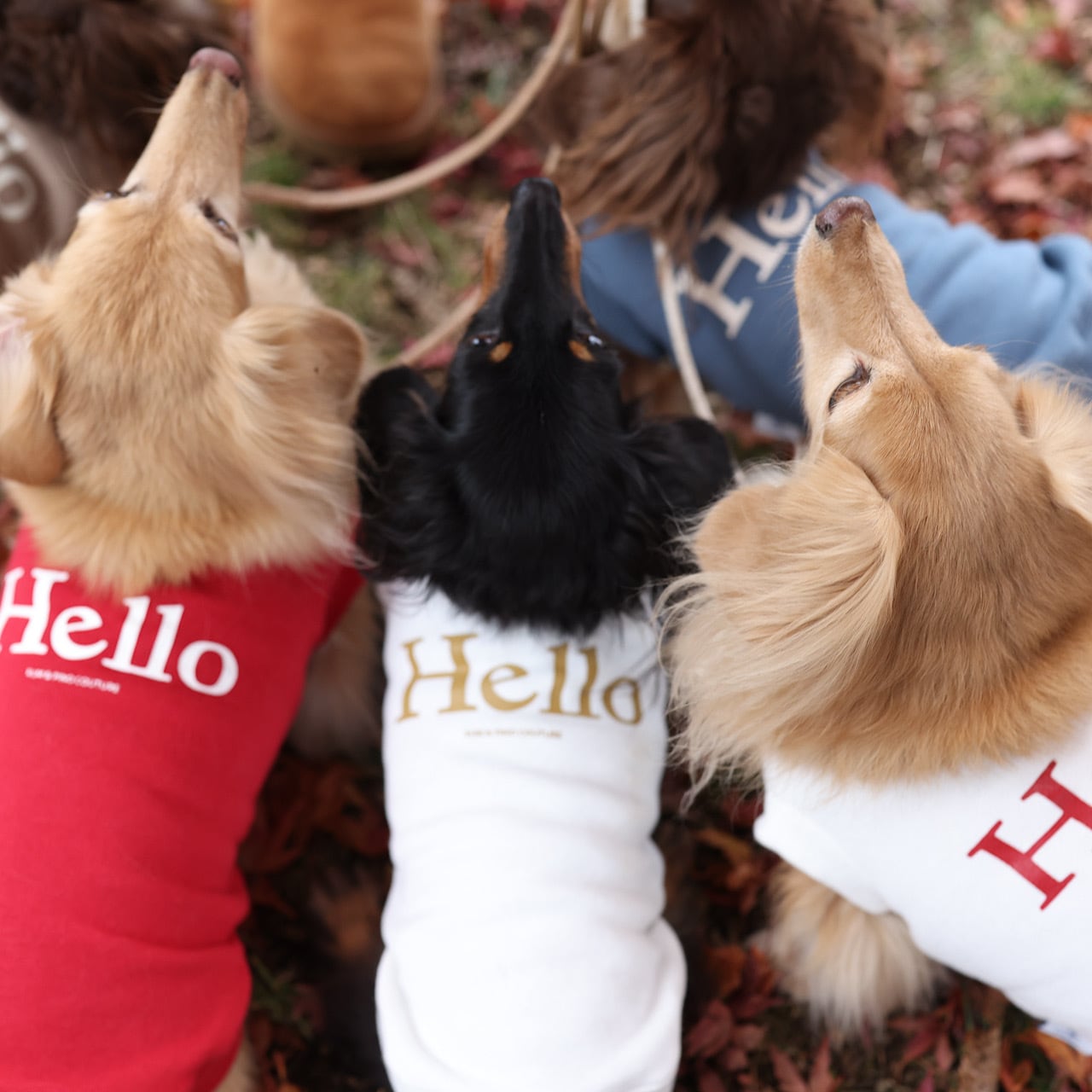 Hello スウェット