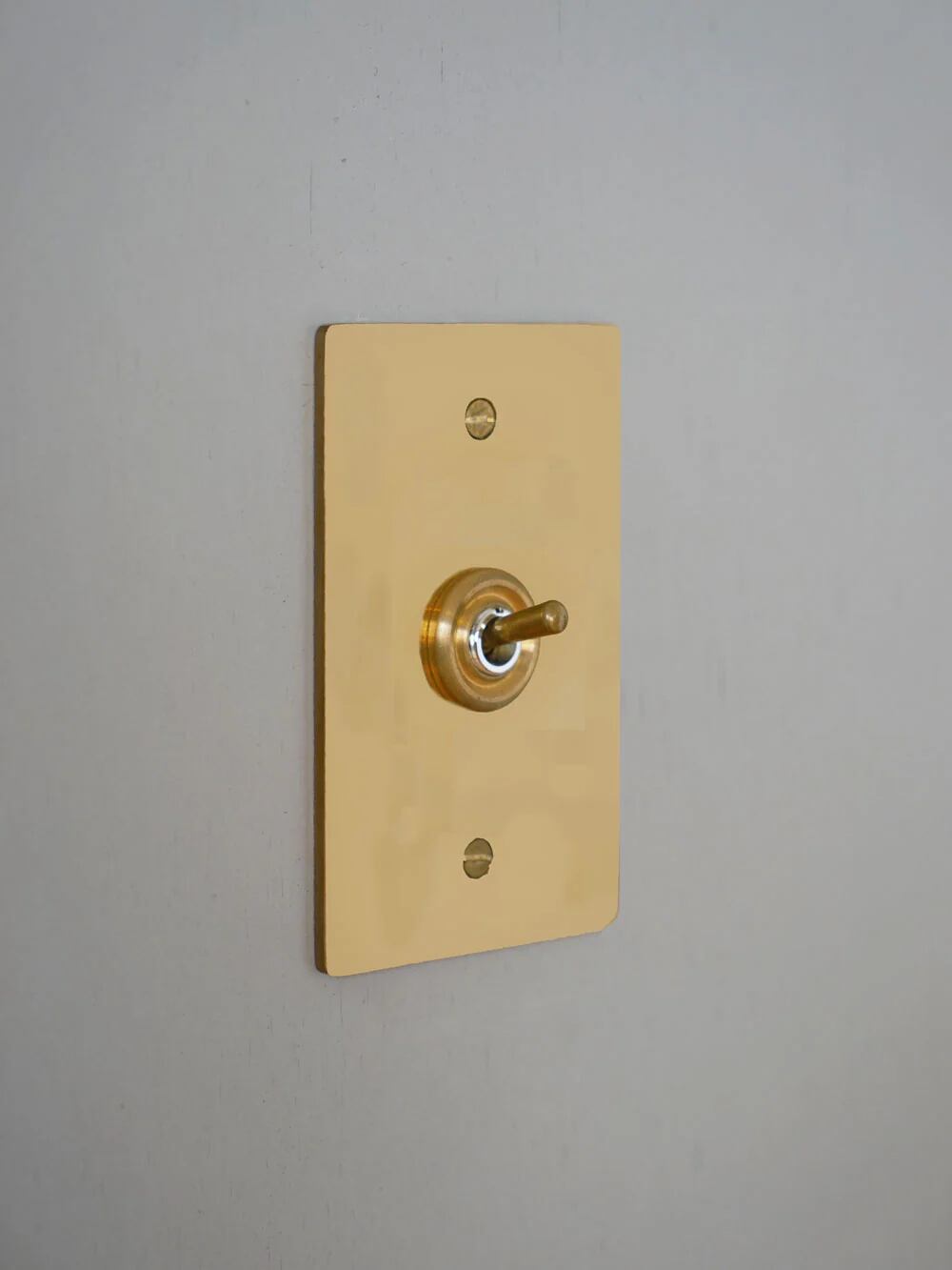 真鍮プレートスイッチ #799 E12 HS2335