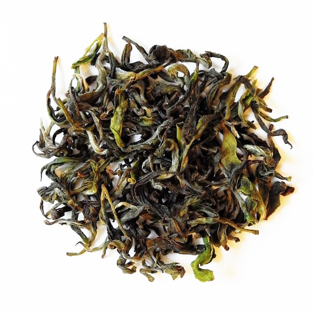 【2026早春】Himalayan Shiiba ヒマラヤン・シイバ No.264 2026 Early Spring 20g