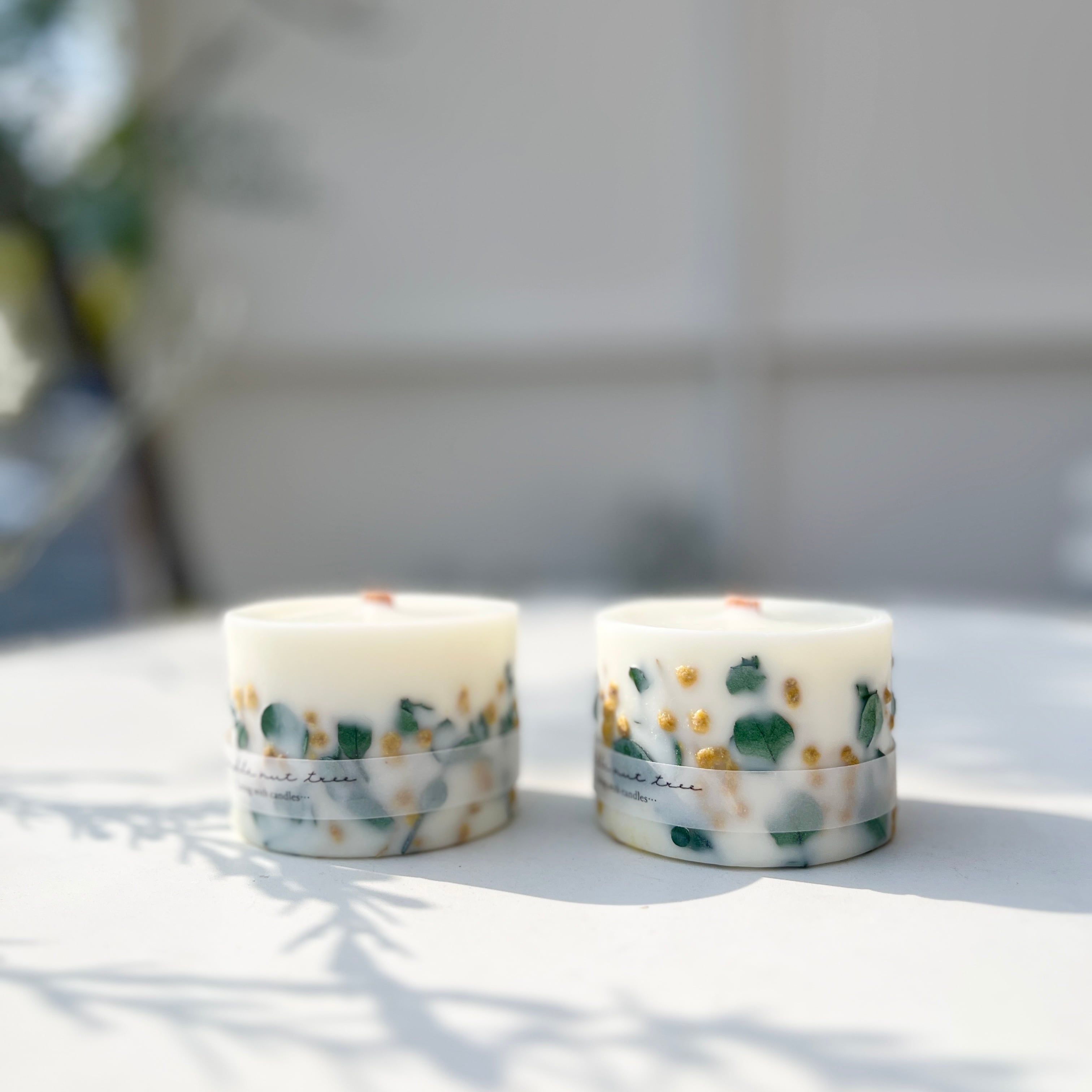 candle nut tree 木芯ソイボタニカルアロマキャンドル ミモザ | ihana