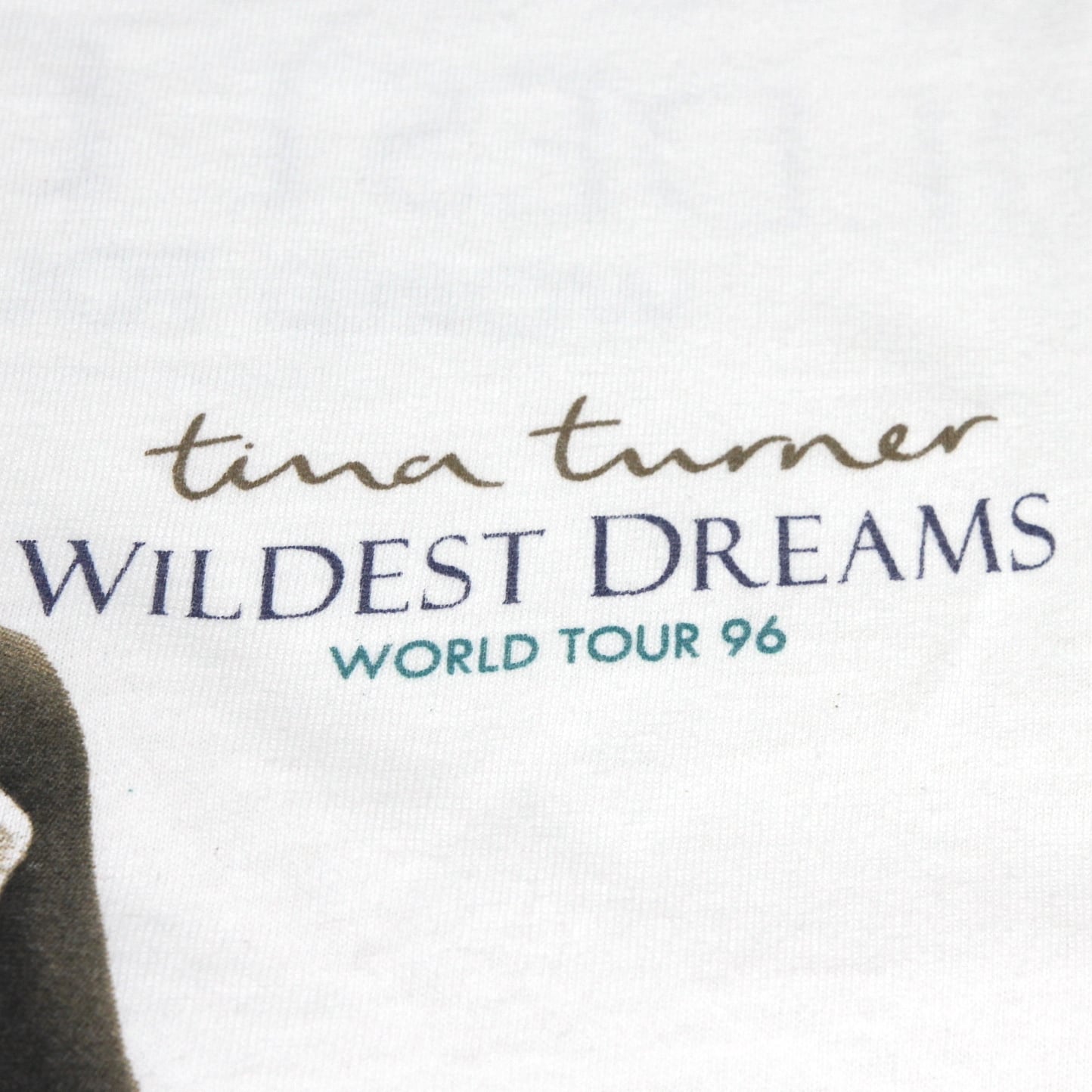 USED【XL】Vintage 90s Tina Turner Wildest Dreams Tour 1996 Tee / Screen Star  ©️1996 | Jubilee Vintage powered by BASE