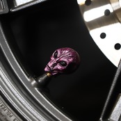 AREA51 BIG VALVE CAP - M31Andromeda