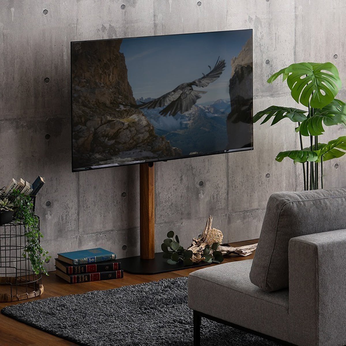 テレビ台 壁面収納 収納家具 DEALS ディールズ ハイラック 収納家具 DEALS-ディールズ- ハイラック 収納家具DEALS-ディールズ-テレビ台 「収納家具