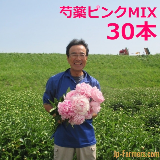 【早割10％OFF】2024産地直接依頼商品　芍薬（ピンク系MIX）３０本　