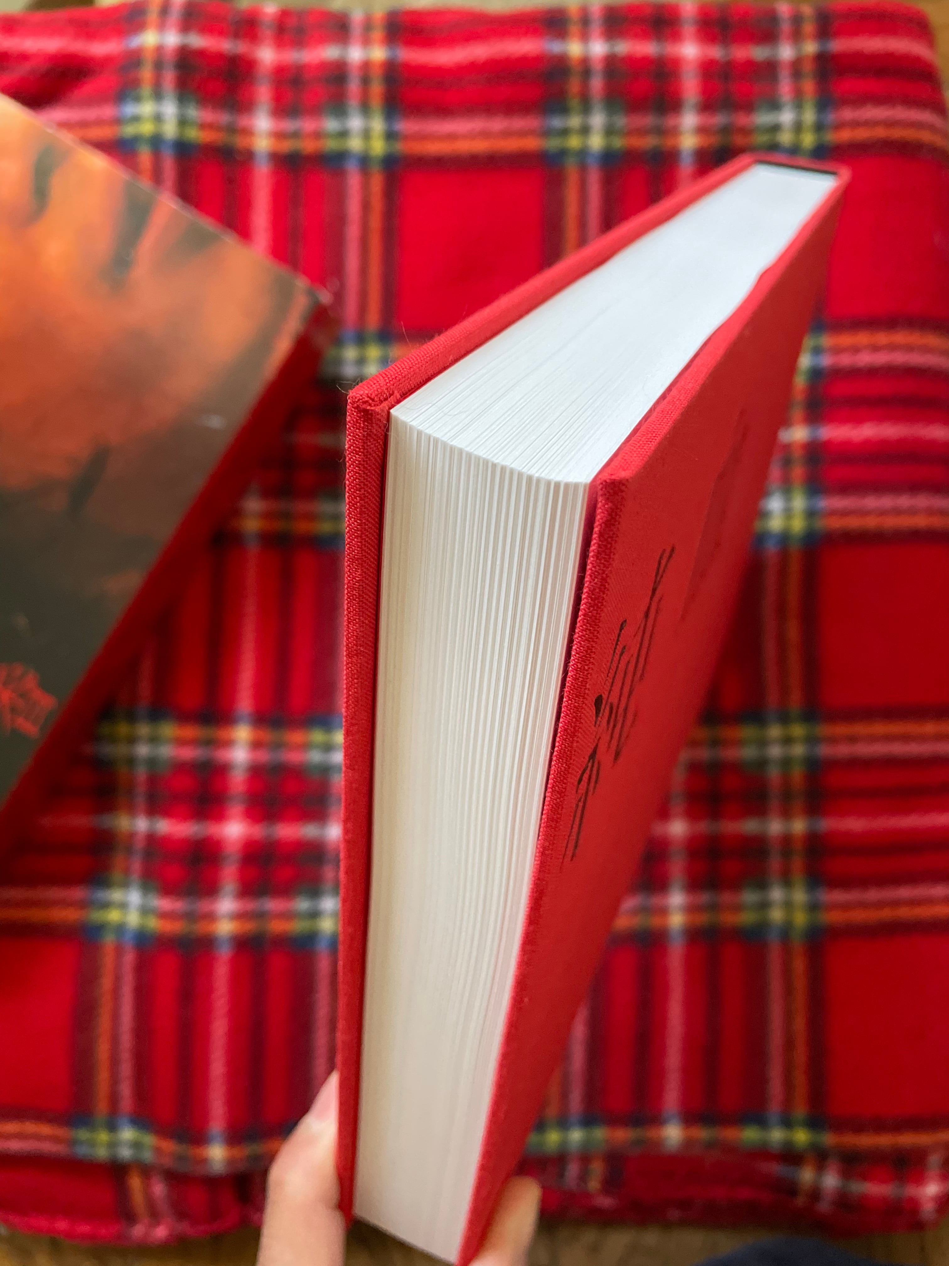 銀杏BOYZ写真集「純血」村井香 初版 函入り 太田出版 峯田和伸