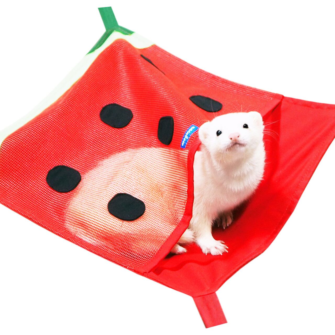 【フェレット】スイカのメッシュハンモック