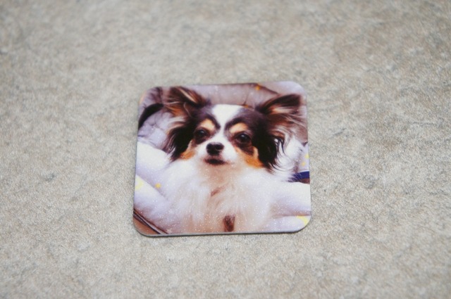 オリジナル(カスタム)フォトマグネット45M(45×45mm正方形)/Instagram印刷などに最適