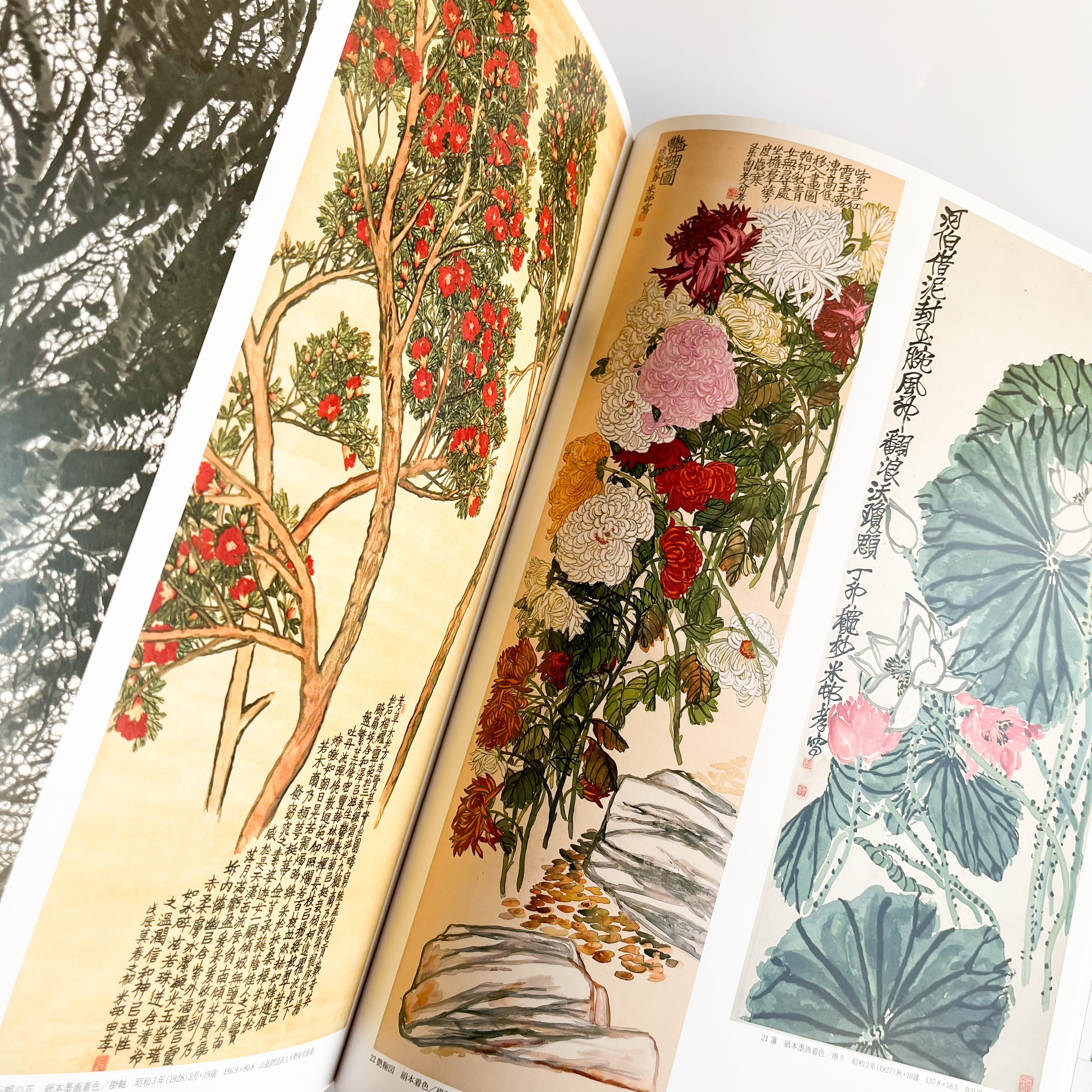 酒井三良「寒木」掛軸 絹本 共箱