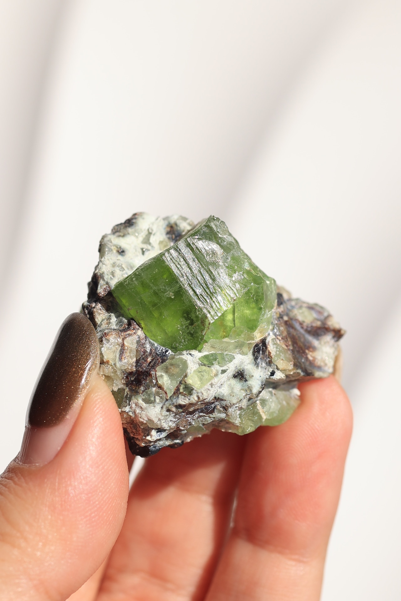 ペリドット「太陽の雫」Peridot|天然石 原石 鉱物 パワーストーン | PD-H-003