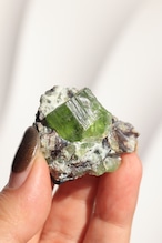 ペリドット「太陽の雫」Peridot|天然石 原石 鉱物 パワーストーン | PD-H-003