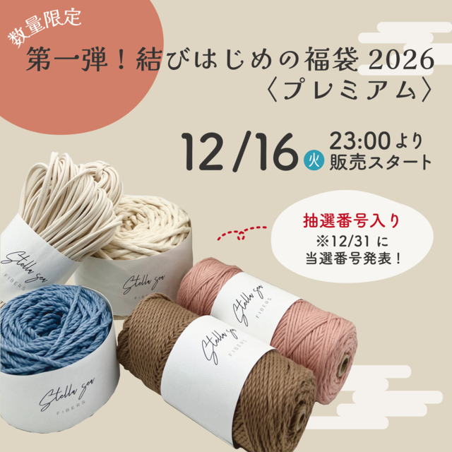 マクラメ用流木 35〜45cm｜2本セット｜天然素材【SSF SELECT】