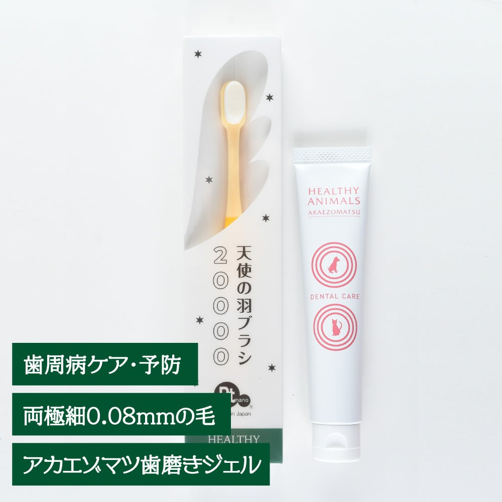歯、口 | ヘルシーアニマルズ「healthyanimals」(公式)