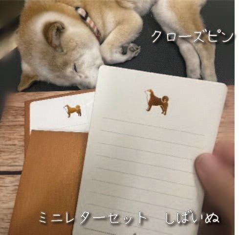 その他 柴犬 | 看板犬のいる文具屋さん