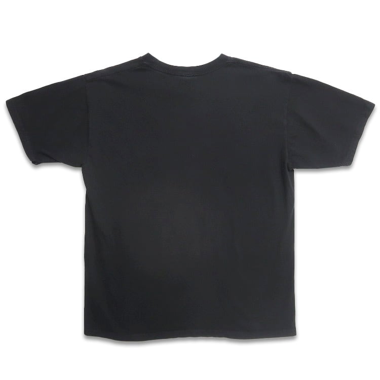 古着 CYGNUS カエル プリントTシャツ ブラック 表記：L gd403053n