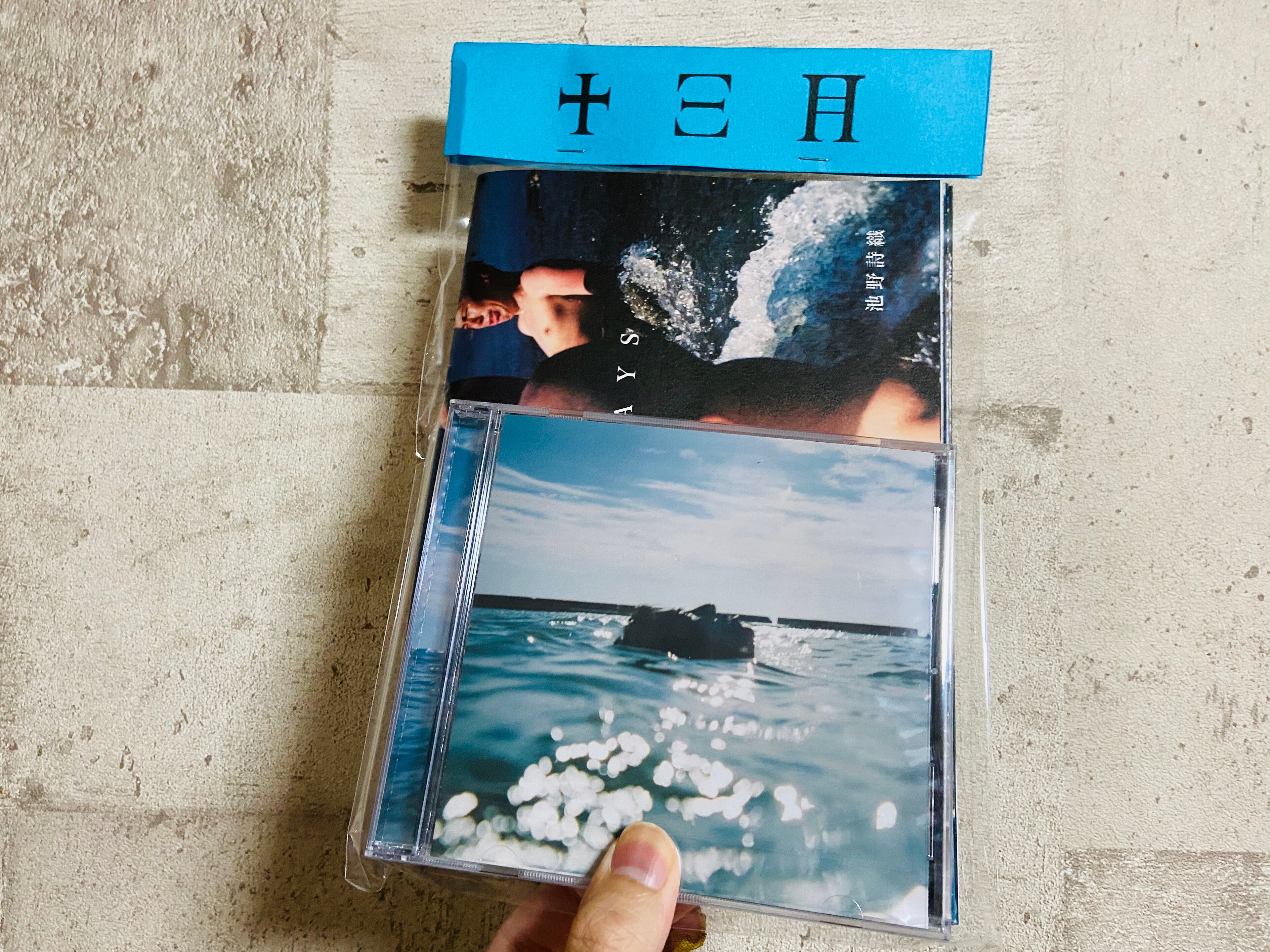 THE GUAYS / あきらめることをあきらめたんだ(ZINE付・特別版