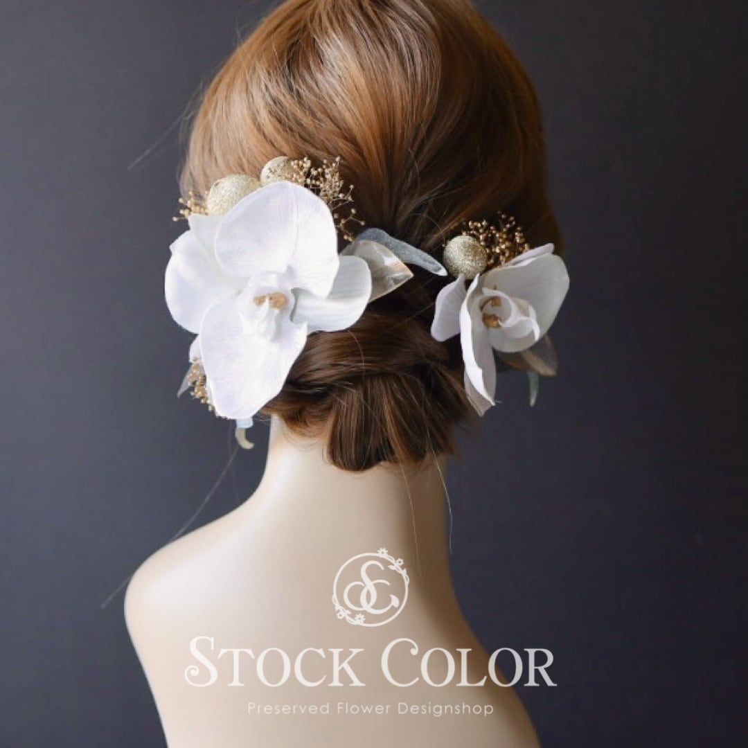 胡蝶蘭 かすみ草 ヘッドドレス ヘアアクセサリー 髪飾り 胡蝶蘭 かすみ草 ヘッドドレス ヘアアクセサリー 髪飾り