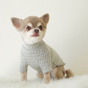 Knit Like Mockneck Tee -  White