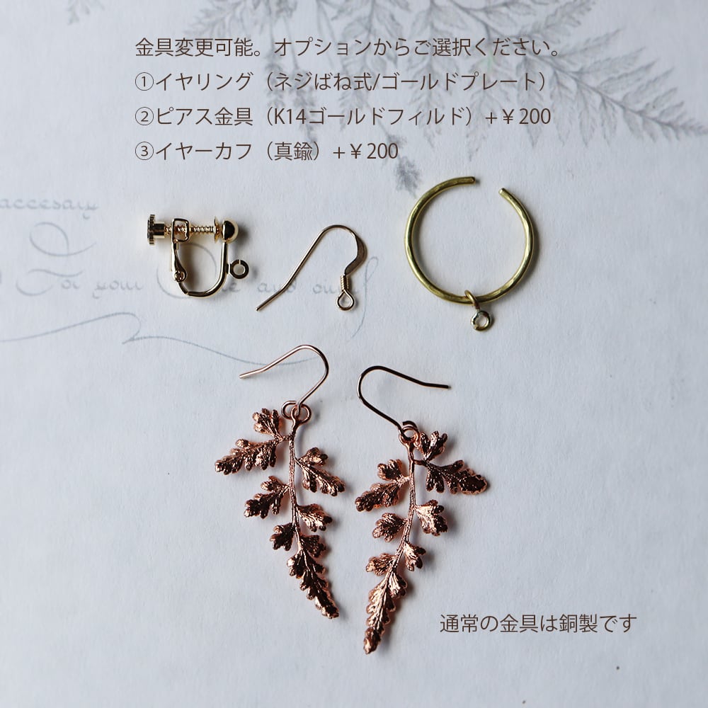 ツルシノブの葉っぱピアス | PAY ID