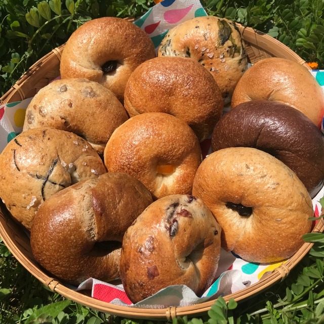 とにかくプレーンベーグル！［自家製酵母ベーグル10個セット］