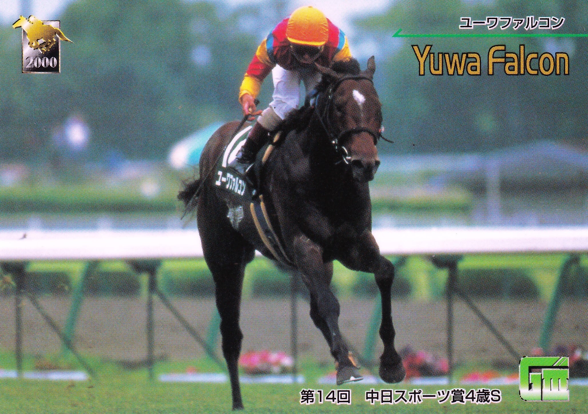アグネスフライト：第67回 東京優駿(日本ダービー)出走馬