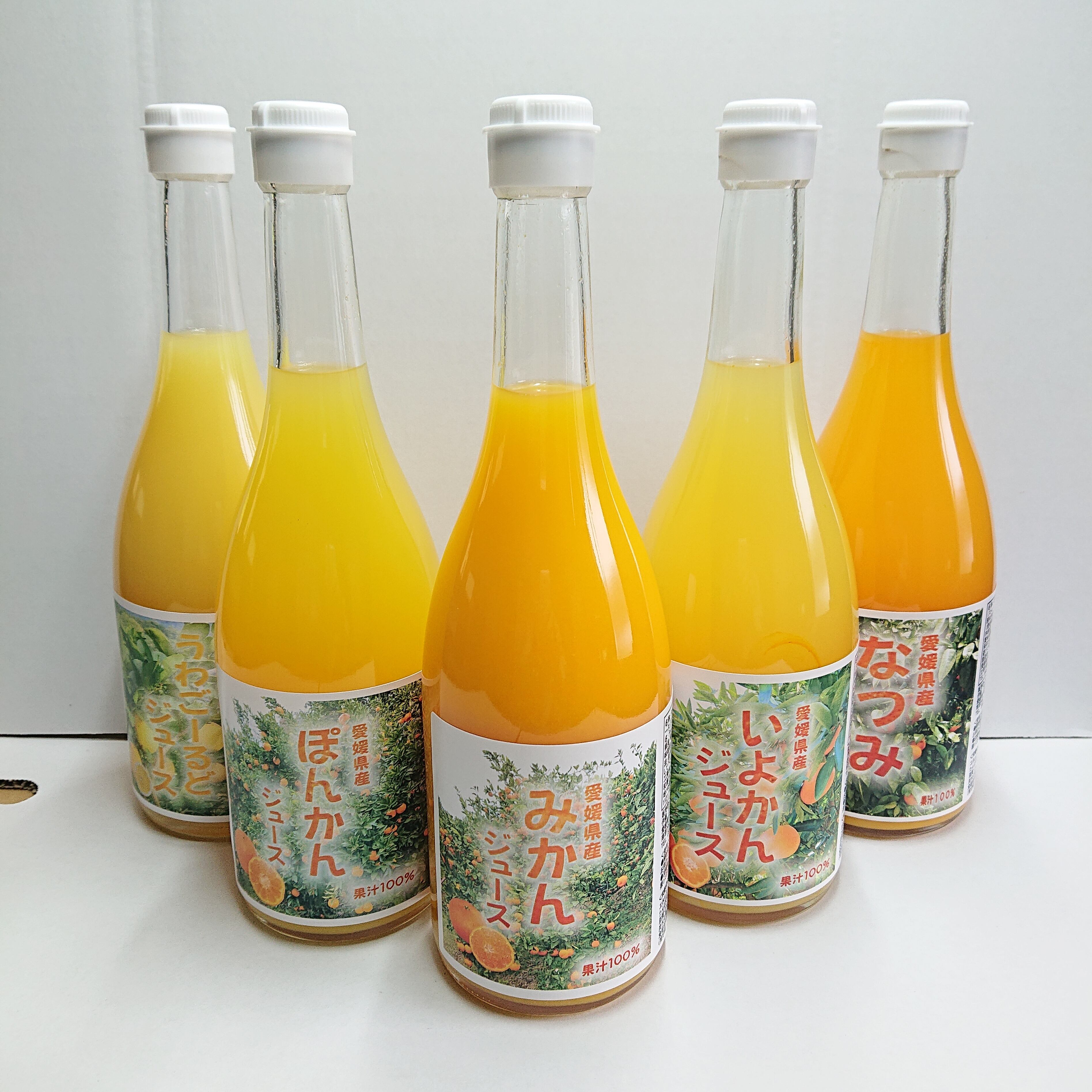 うわごーるど（河内晩柑）ジュース（4本） | みかん