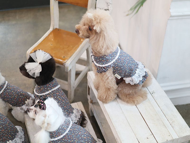 花*様 値下げ犬服 ロングドレス ホワイト/ブラックSサイズ 犬 服 ドレス 春夏 犬服 犬の服 ウェディングドレス ホワイト 上品