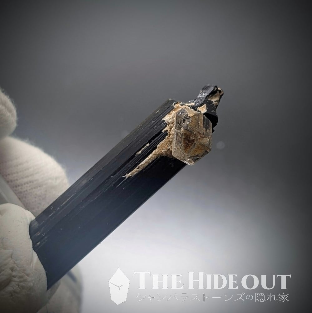 ヒマラヤ産鉱物原石標本028 タプレジュン地区産ショールトルマリン